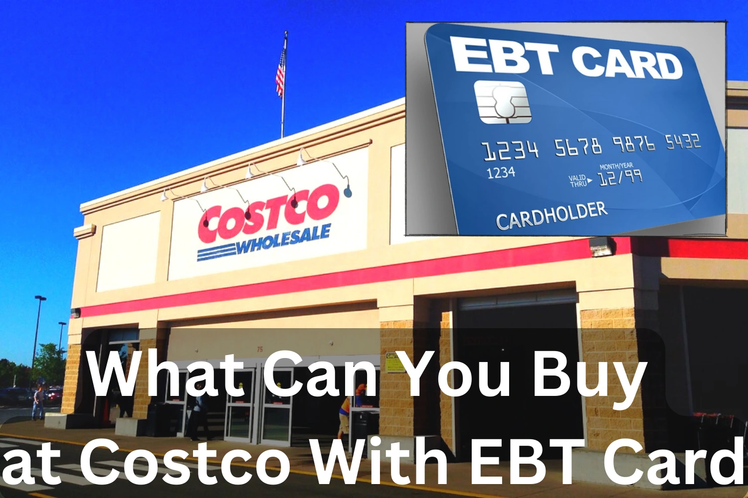 what can you buy at costco with ebt card