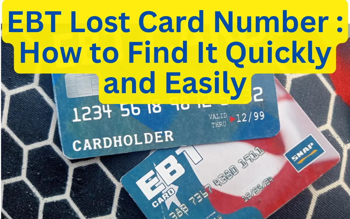 ebt lost card number