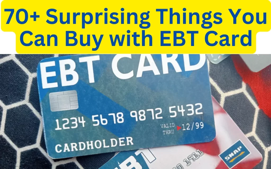 surprising things you can buy with ebt card
